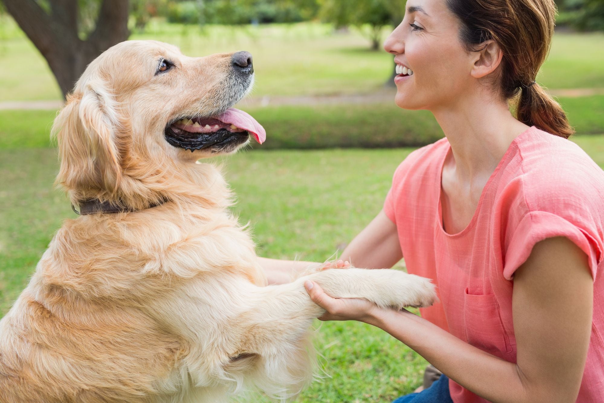 5 Best Gifts For Dogs & Their Owners