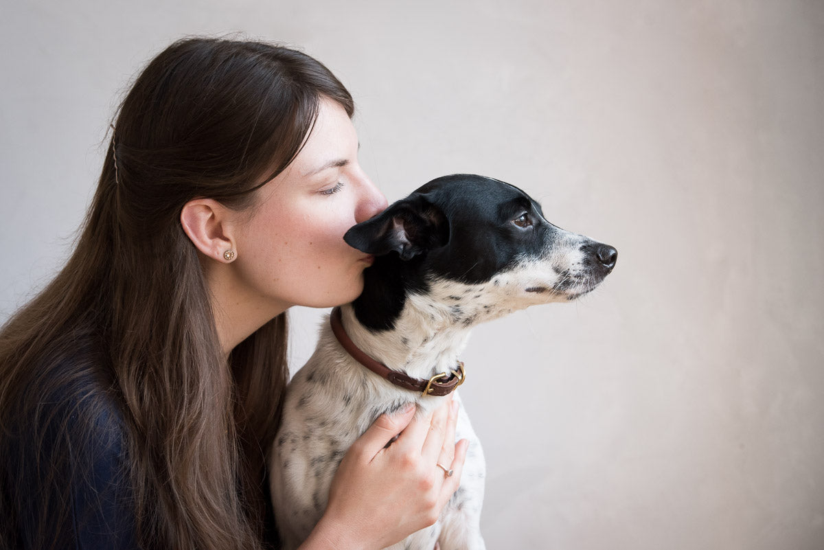 What Does a Newly Adopted Pup Need?