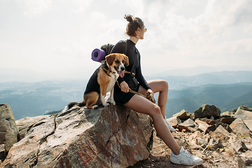 Dog Hiking Essentials: Rolled Leather Dog Collar, Leash & More