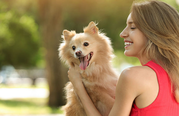 Young woman with her cute dog in park