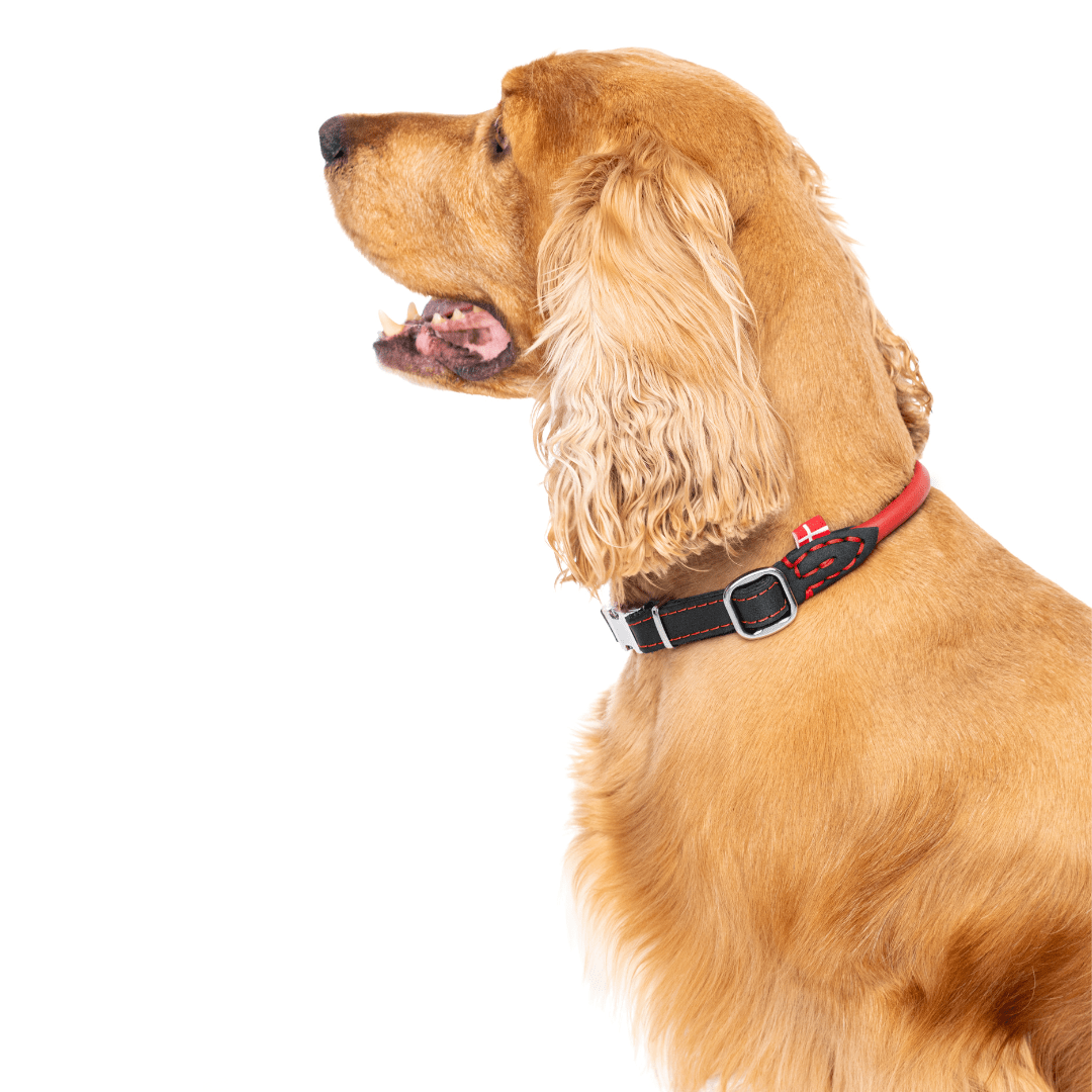(NEW) Skagen: Quick Release Rolled/Round Leather Collar