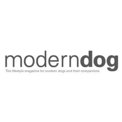 Luxury Colorful Leather Dog Collars