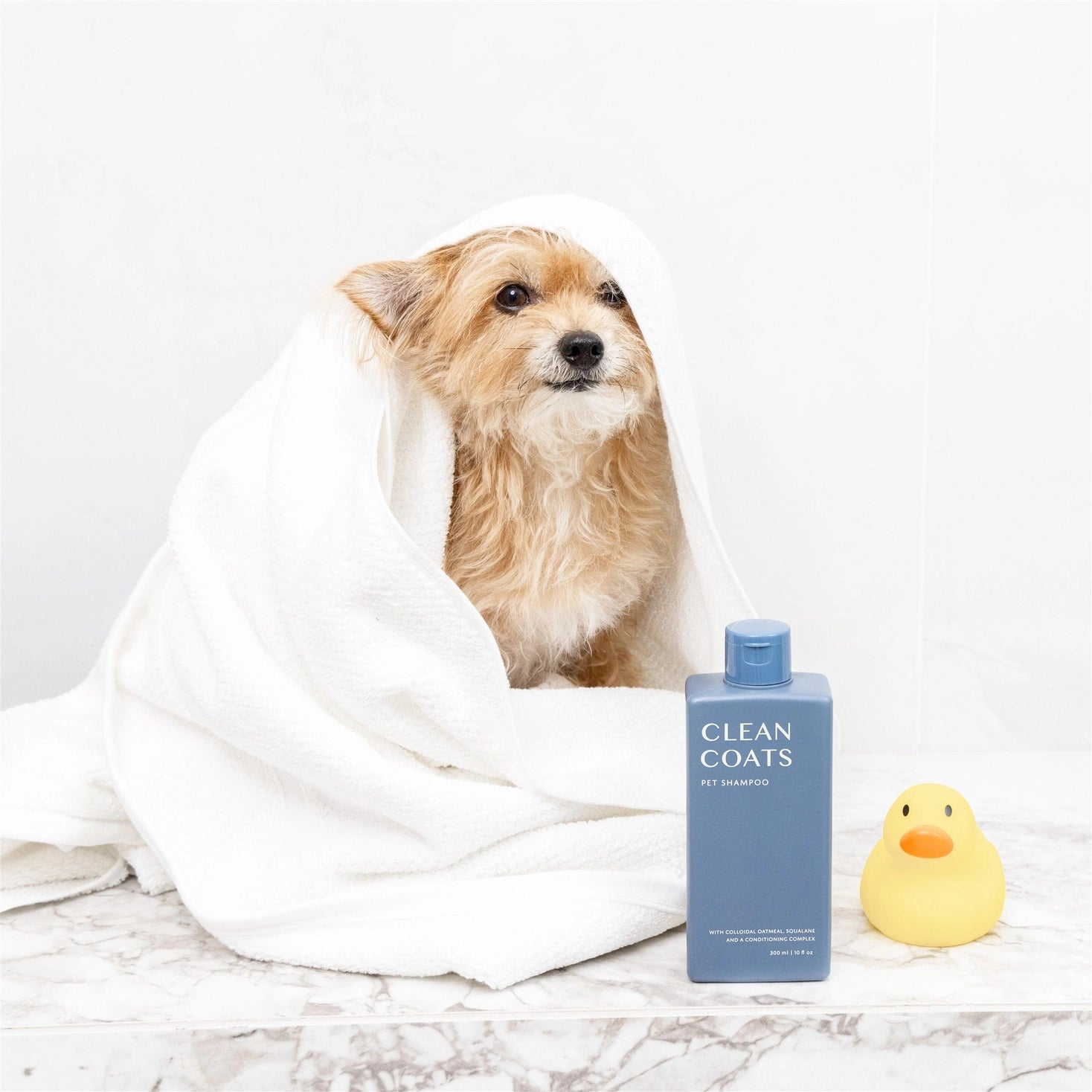 Dog Shampoo 2 in 1 For Itching, Conditioning and Smelly Dogs