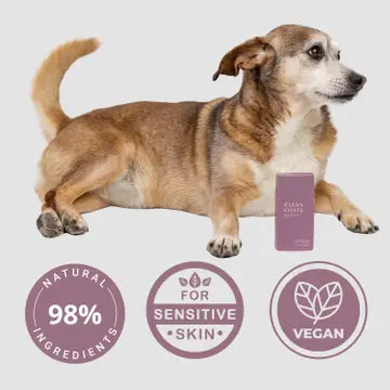 Dog Moisturizing Serum for Paws and Noses – Fast Absorbing