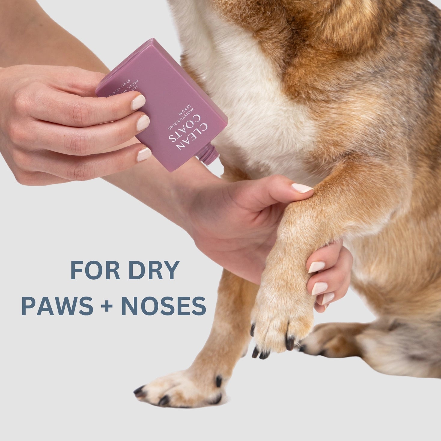 Dog Moisturizing Serum for Paws and Noses – Fast Absorbing