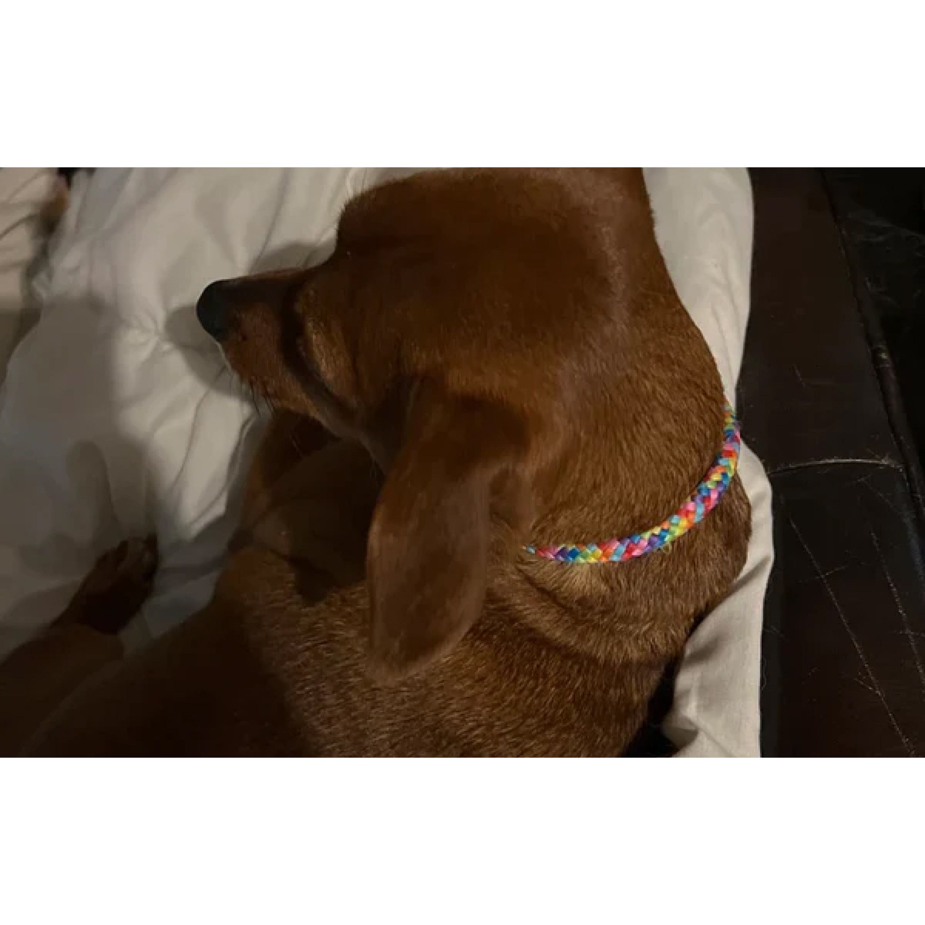 Frederikshavn- Rainbow Rope With Leather