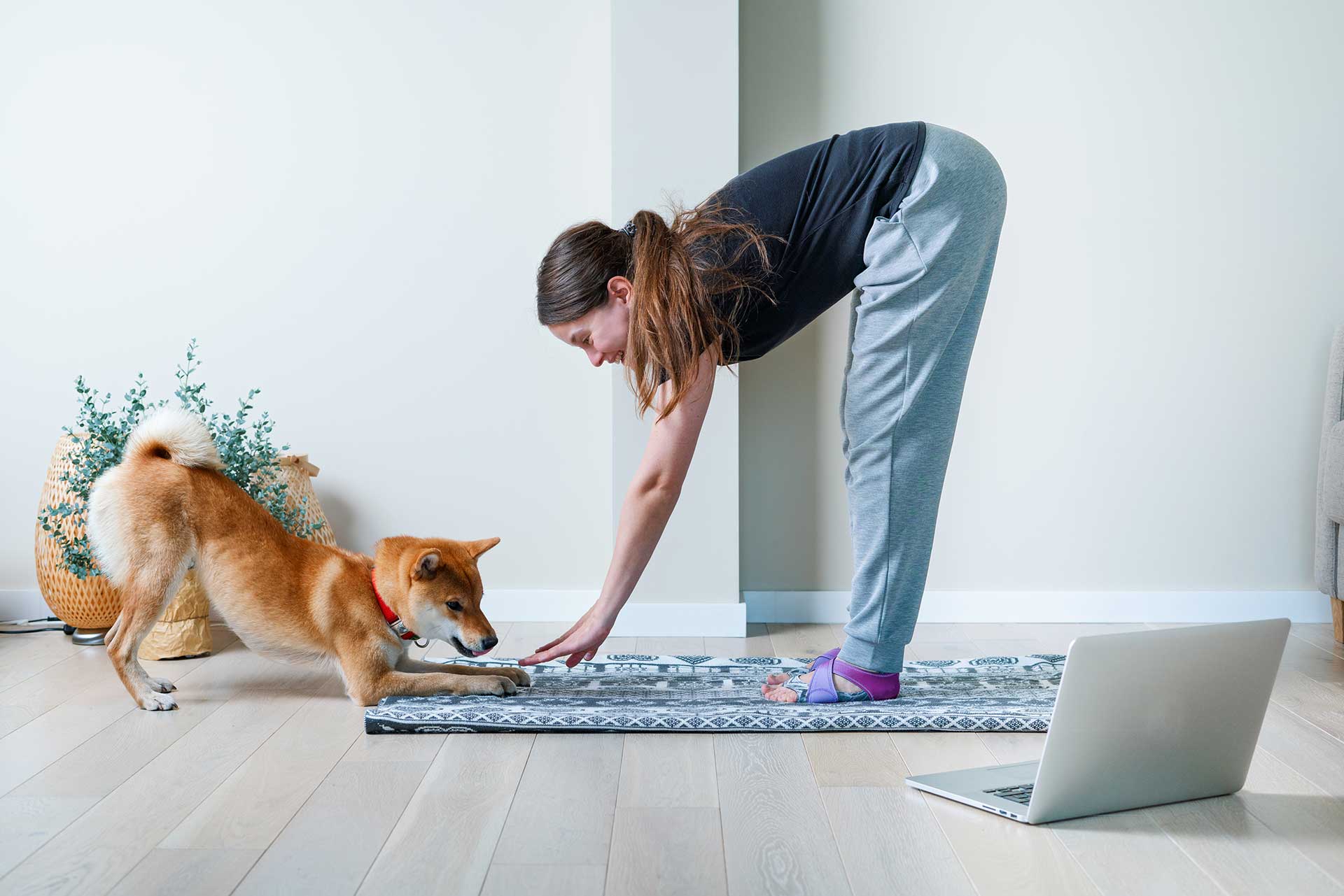 4 Fun Ways To Exercise With Your Dog