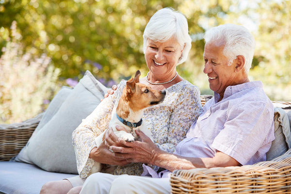 4 Reasons Seniors Should Consider Getting A Dog