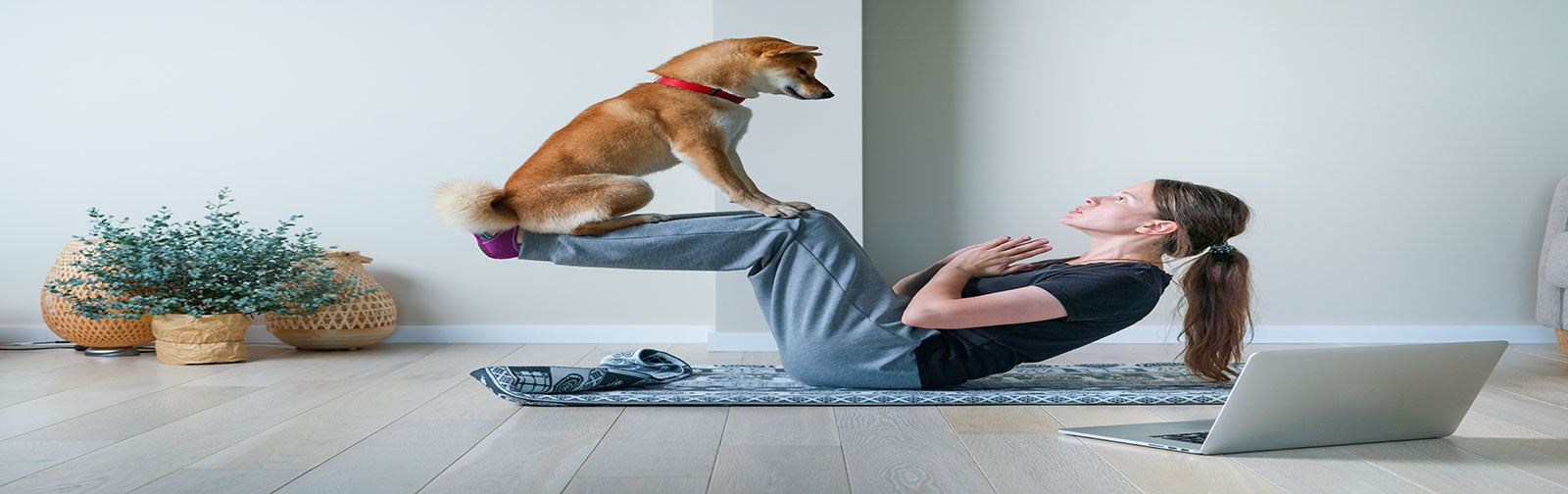 5 Active Dog Breeds That Are Excellent Workout Partners