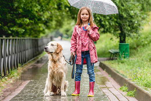 5 Reasons To Walk Your Dog Using A Rolled Leather Collar