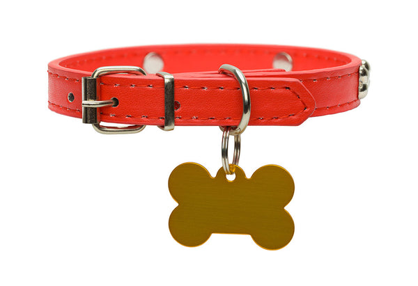 5 Signs Your Dog Needs A New Collar