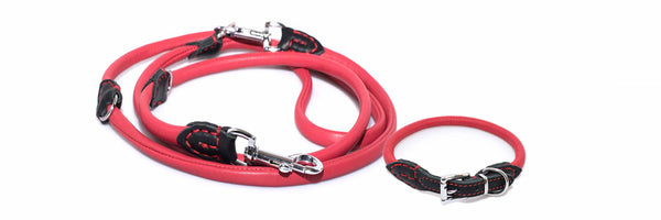 DANGERS OF RETRACTABLE LEASHES