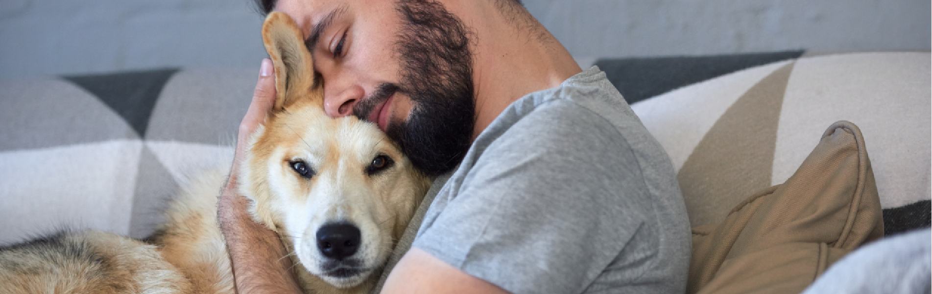 Building A Stronger Bond With Your Dog