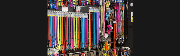 Different colorful leashes and other goods in pet shop