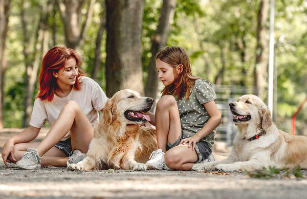 Girls with golden retriever dogs