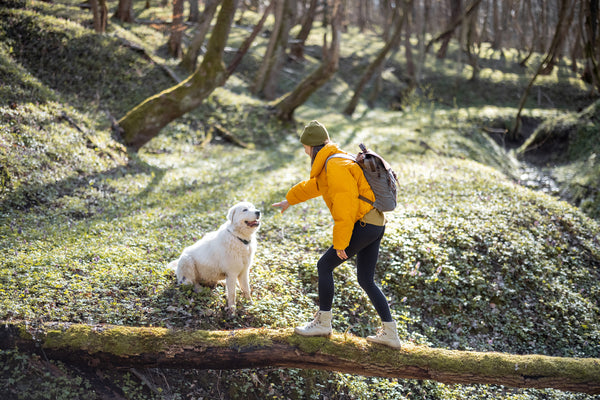 How To Hike With A Dog: A Beginner's Guide