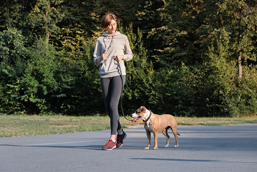 How To Leash Train Your Dog With A Rolled Leather Collar