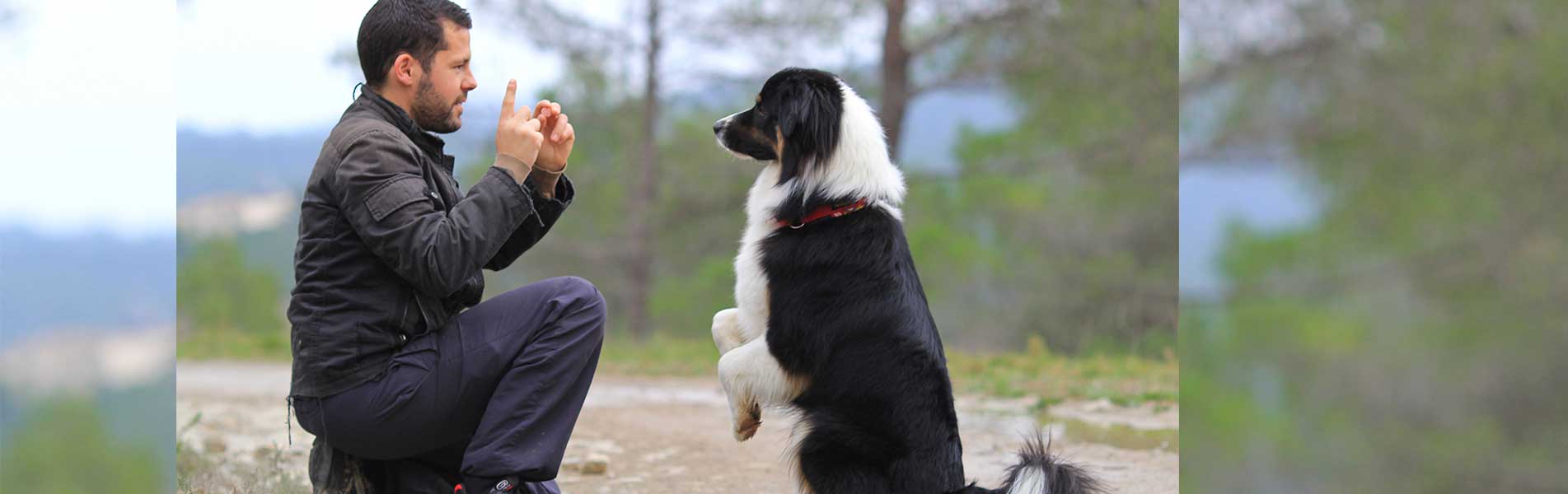 man with an australian shepherd