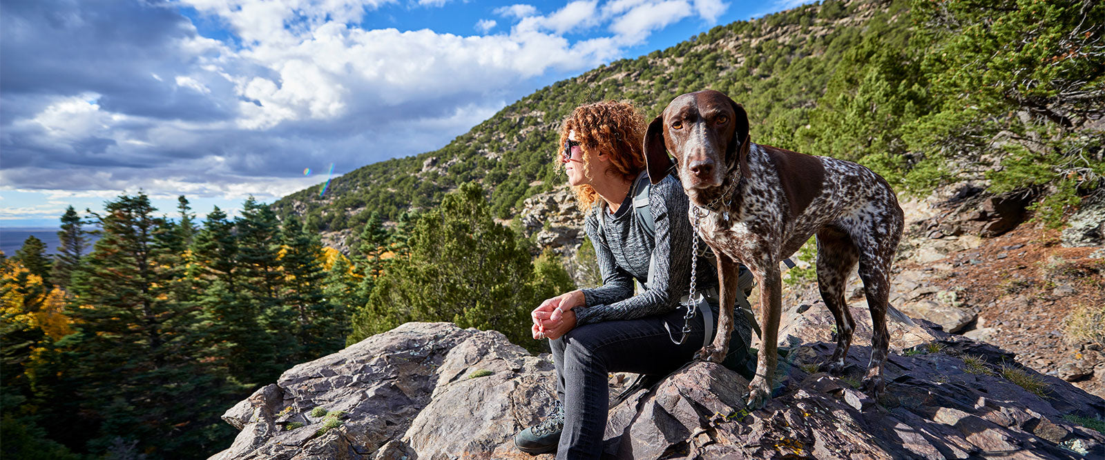 Seven Amazing Benefits Of Hiking With Your Dog