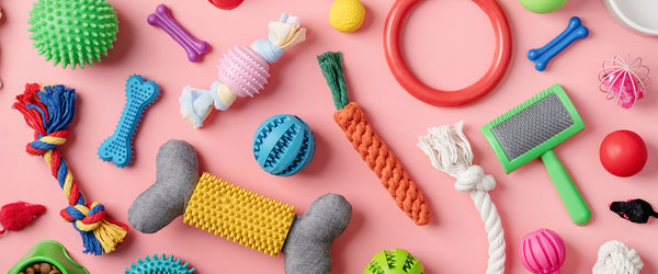 These Are The Best Colors For Dog Toys