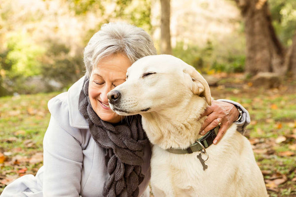 What Are The Ideal Dog Breeds For Seniors?