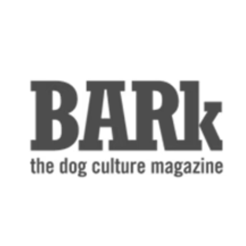 Luxury Colorful Leather Dog Collars