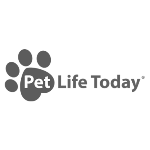 Luxury Colorful Leather Dog Collars