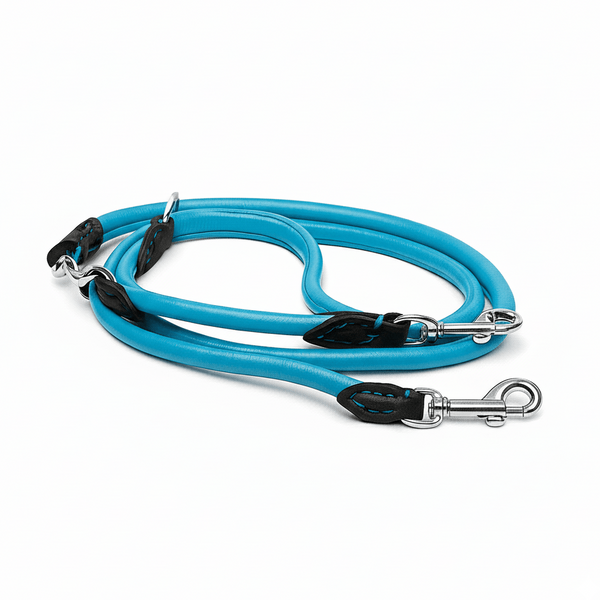 Luxury Colorful Leather Dog Collars