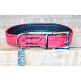 Odense - Padded Leather Collar