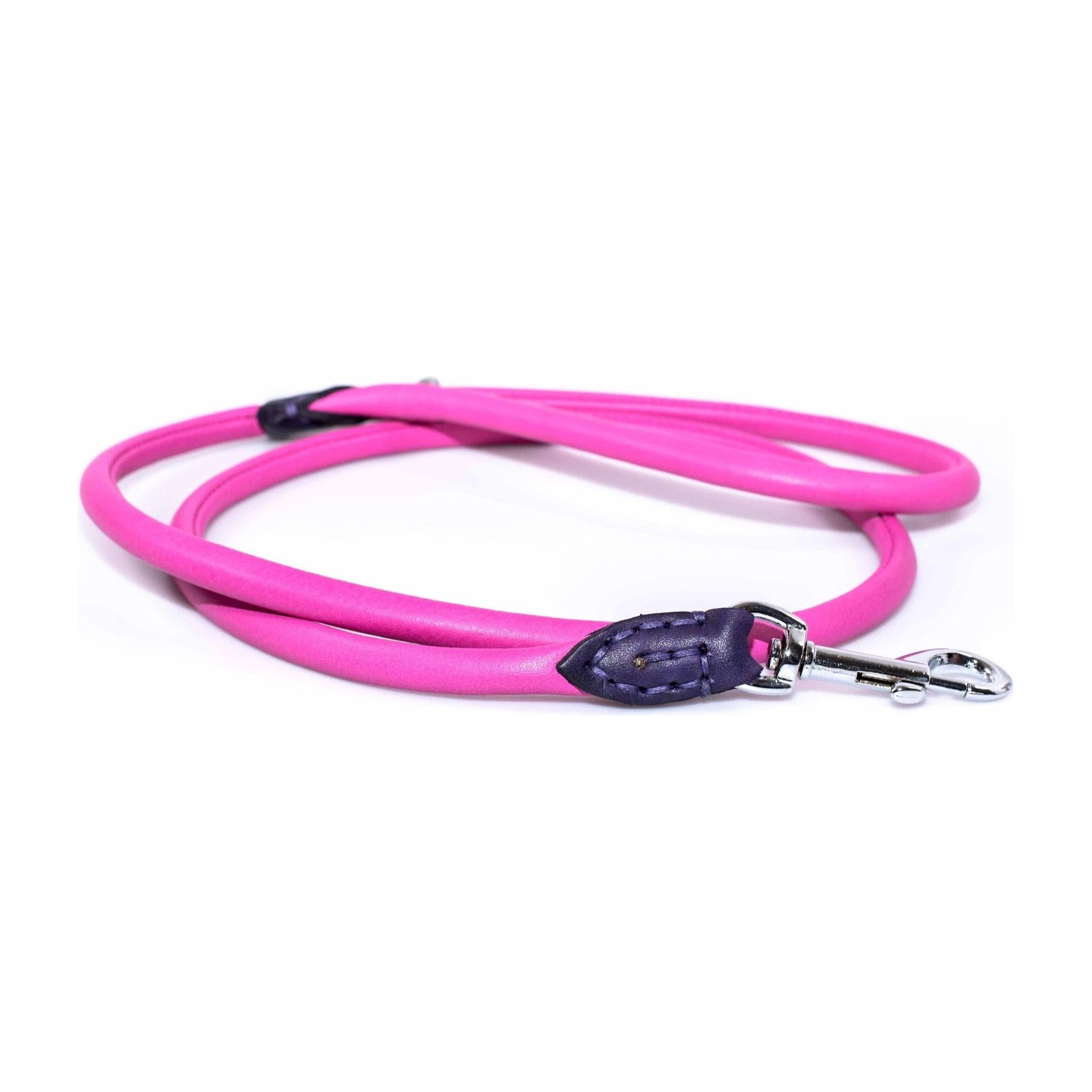 Round 4 Foot Leather Leash